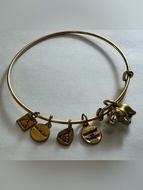 Bracelet Alex and Ani Elephant Heart Flag Infused With Energy Charity Design